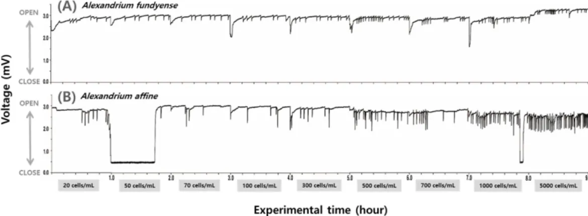 Fig. 2.  Standard pattern of SVMs on the Pacific oyster.