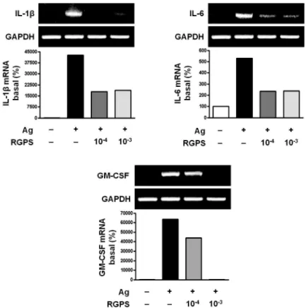 Figure 2 Effects of RGPS on the mRNA expression levels of IL-1β , IL-6 and GM-CSF in IgE/Ag-stimulated RBL-2H3 cells