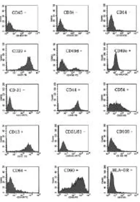 Table 2. Immunophenotypic characterization of the confluent fibroblast-like cells obtained from human umbilical cord blood at passage 5