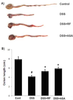 Fig. 1. Effect of RF on DSS-induced the body weight loss in mice. Experimental colitis was induced by administering a 5% DSS in  the drinking water for 7days