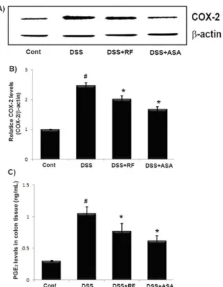 Fig. 4. Effect of RF on the COX-2 and PGE 2  levels in DSS-  induced  colitis  tissue