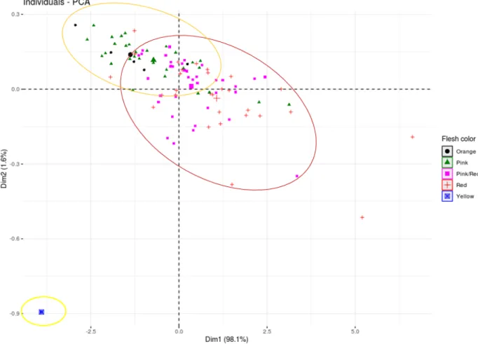 Fig. 3. Individual PCA plot of watermelon fruit genetic resources generated based on flesh color of watermelon fruit on the first two  principal components.