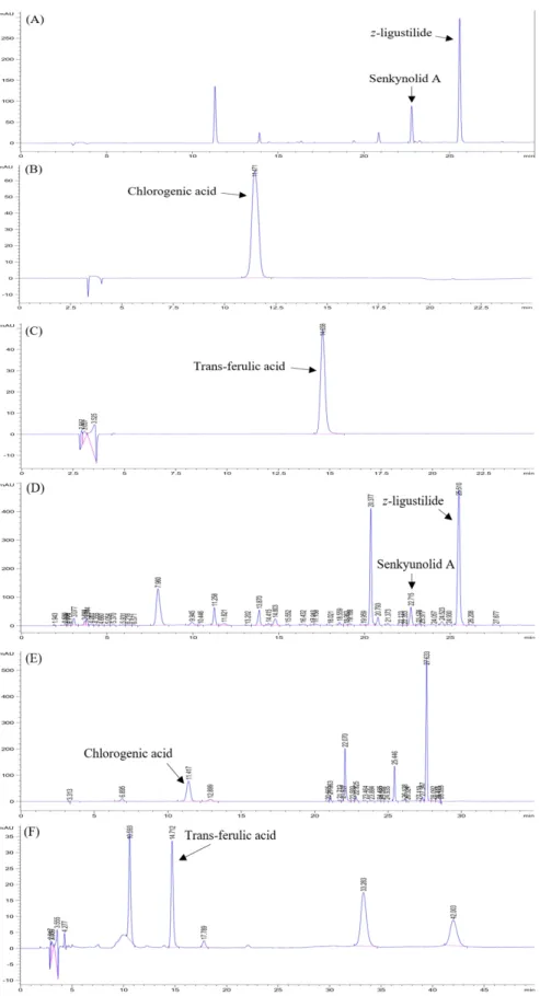 Fig. 3. The chromatogram of active compounds. (A); senkynolid A and z-ligustilide, (B); chlorogenic acid, (C); trans-ferulic acid in  standard