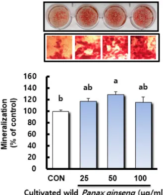 Fig. 3. Effect of cultivated wild Panax ginseng on mineralized  nodules in osteoblastic-like MC3T3-E1 cells