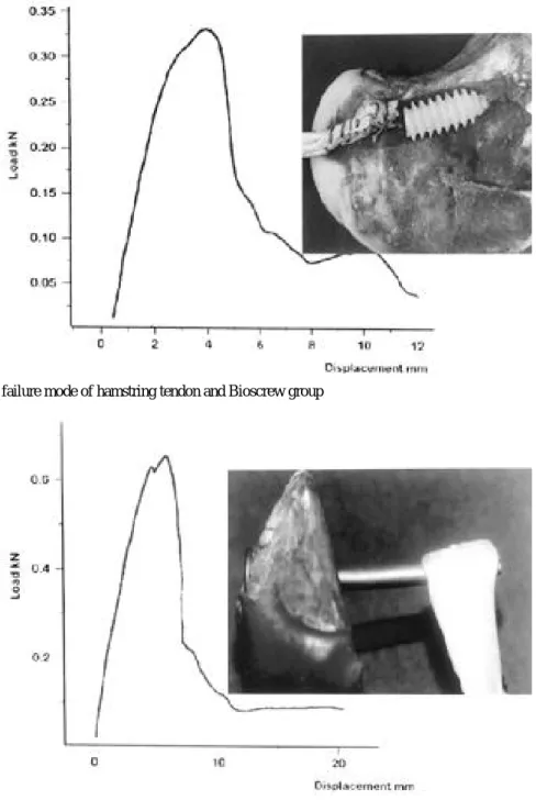 Fig. 5. The result and failure mode of hamstring tendon and Semifix group
