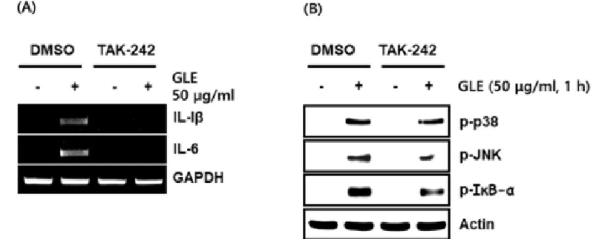 Figure 4 appears below.  
