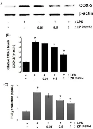Fig. 2. Effects of ZP on COX-2 expression and PGE 2 production in LPS-stimulated RAW264.7 cells