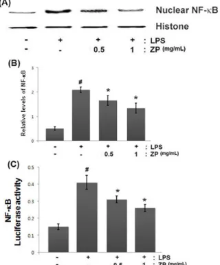 Fig. 4. Effect of ZP on NF- κB activation in LPS-stimulated  RAW264.7 cells. (A) Cells were pretreated for 1 h with ZP  (0.1, 0.5 and 1  ㎎/mL) and then treated for 2 h with LPS (1 ㎍ /mL)