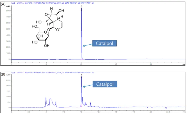 Fig. 1. HPLC chromatograms of catalpol (A) and sample (B) from R. glutinosa.