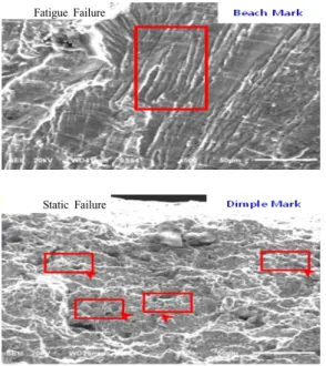 Fig. 6. Examples of Static/Fatigue Failure