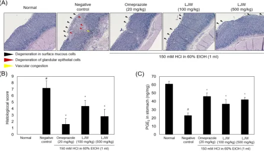 Fig. 2. LJW prevented HCl/EtOH-induced degeneration in surface mucous cell, damage of glandular epithelial cell and vascular  congestion