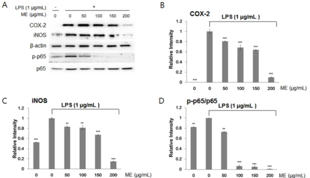 Fig. 3. Effects of water extracts of I. japonica on the NF- κB pathway in RAW264.7 cells