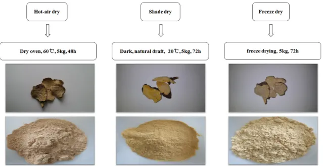 Fig. 1. The drying process of PMR by different drying methods application.