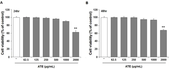 Fig. 2. Effect of the Angelica tenuissima root extract (ATE) on cell viability in B16F10 melanocytes