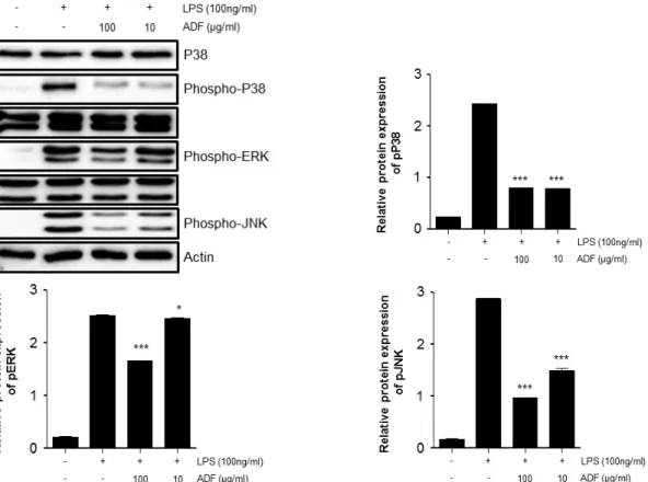 Fig. 4. The effect of ADF on the phosphorylation of p38, ERK, JNK (MAPK) in LPS-stimulated Raw264.7 cells