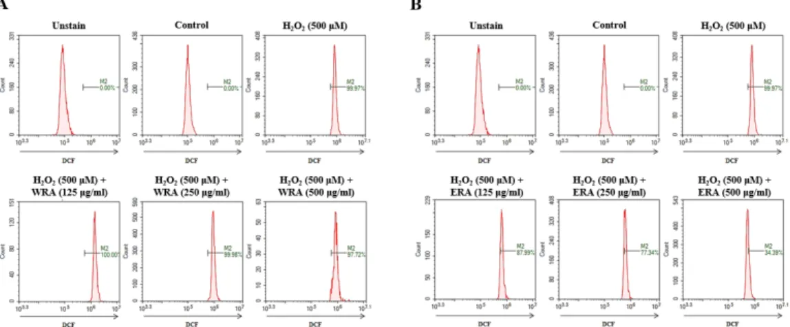 Fig. 1. Effect of extracts on H 2 O 2 -induced ROS generation in RAW 264.7 cells. (A-B) WRA; water extract of Rubiae radix, ERA; 