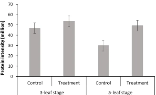Fig 10. Relative protein intensity patterns of glyceraldehyde-  3-phosphate dehydrogenase