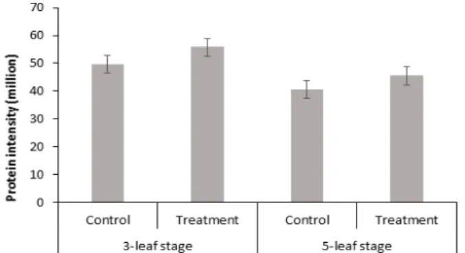 Fig. 12. Relative protein intensity patterns of probable  phospholipid hydroperoxide glutathione peroxidase