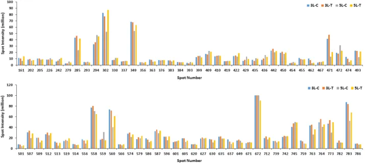 Fig. 3. Relative protein intensity of differentially expressed proteins from leaves of Sorghum bicolor L