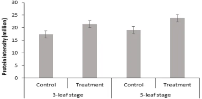 Fig. 8. Relative protein intensity patterns of malate  dehydrogenase. Vertical bar represents standard error (SE) of  the mean of 3 replicates.