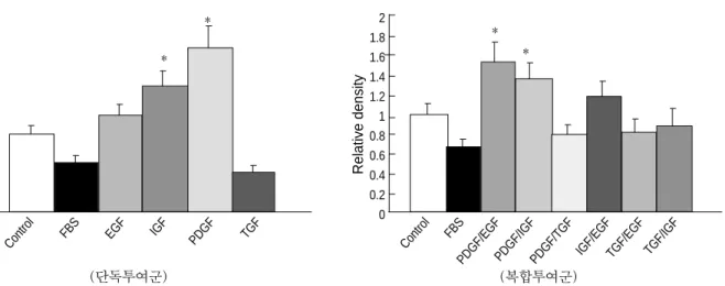 Fig. 7. Western Blot Analysis to determine the extent of type I col- col-lagen synthesis in culture media of the single and combination growth factor groups.