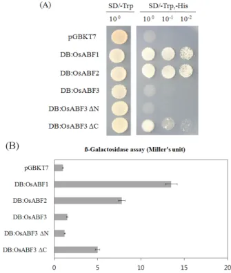 Fig. 4. Transactivation activity assays of the OsABF3 protein  using Y1H assay.