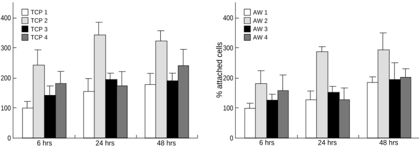 Fig. 2. Dpm counts in osteoblasts labeled with [ 3 H] thymidine cultured for 24 and 48 hours.