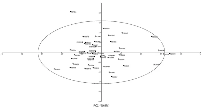 Fig. 1. 2D scatter diagram of principal component analysis (PCA) of 50 tomato accessions based on antioxidant activity.