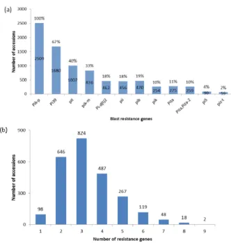 Fig. 1. Frequency distribution of blast resistance genes. (a)  Frequency of 12 R genes among 2,509 accessions of rice  ( Oryza sativa L.), (b) frequency of rice accessions bearing  variable number of blast resistance genes.