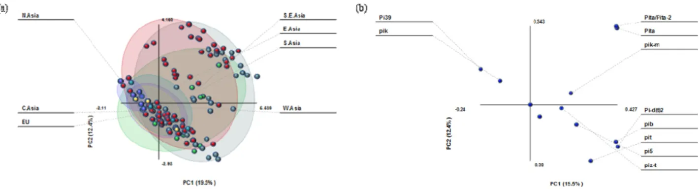 Fig. 3. Principal component analysis of randomly selected rice germplasm (653 accessions) based on twelve resistance genes
