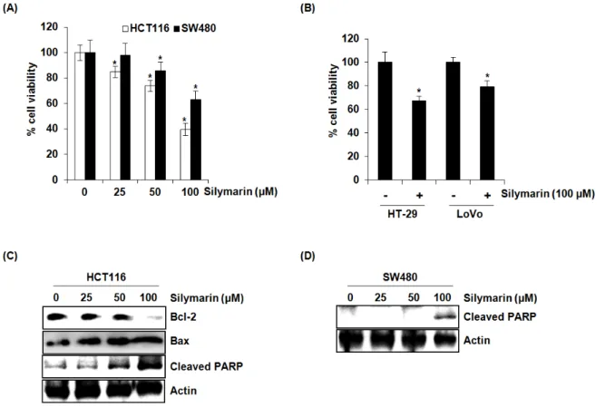 Fig. 1. Effect of silymarin on the cell viability and apoptosis. (A) HCT116 and SW480 cells were treated with silymarin at the indicated  concentrations for 24 h