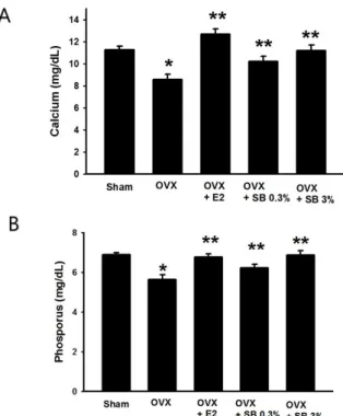 Fig. 1. Effects of safflower buds (SB) on serum calcium and  phosphorus in ovariectomized (OVX) rats