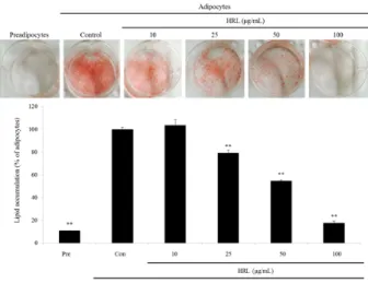 Fig. 1. Effects of HRL (extract of Hippophae rhamnoides L. 