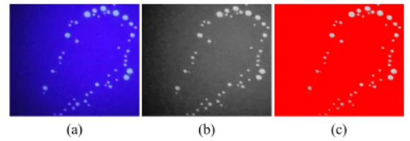 Fig. 6. Drop analysis for contact angle of distilled water  (left) and FITC-contained distilled water on          (a) hydrophobic, (b) hydrophilic surface and 