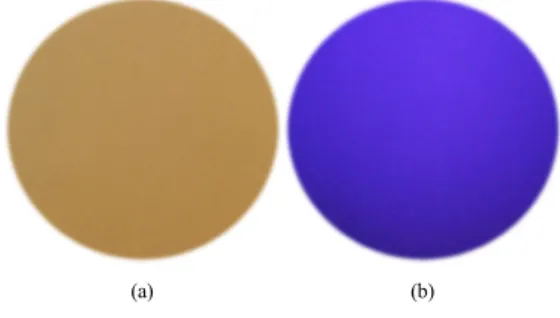 Fig. 8. Spray test result of waterproof fabric         (a) visible and (b) FITC fluorescence image