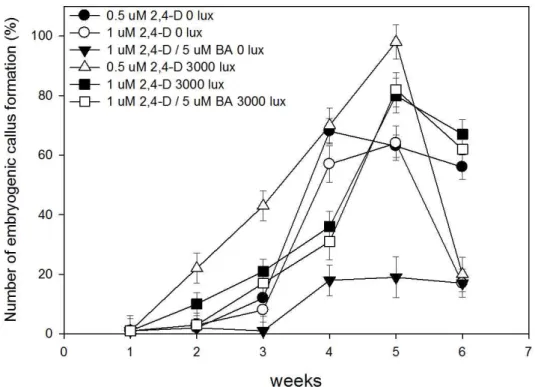 Fig. 1. Effect of light intensity and culture period on the induction of embryogenic callus formation from purple sweet potato