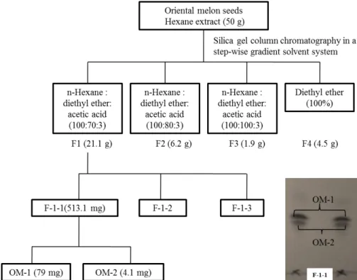 Fig. 1. A flow chart showing the fractionation procedures of oriental melon seeds.    