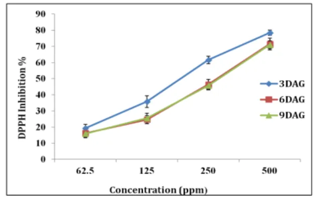 Table 1. Fresh weight (FW), moisture content (%) and  chlorophyll content (㎍/㎖) in rice-type tartary buckwheat  seedlings at different stages of germination z