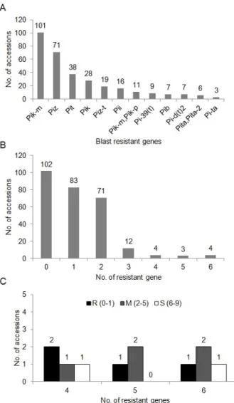 Fig. 2. Frequency distribution of blast resistant genes among  all 279 accessions (A) and the frequency of rice accessions  having different number of blast resistance genes (B)