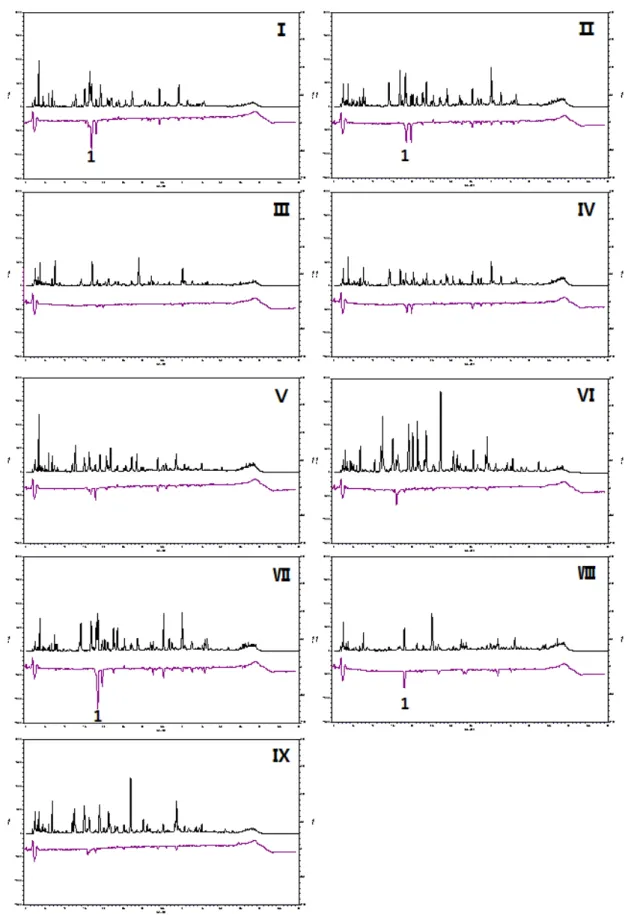Fig. 4. UV and DPPH radical quenching chromatogram of licorice extracts (Ⅰ: Monggo shingang, Ⅱ: Monggo cultivate, Ⅲ: 