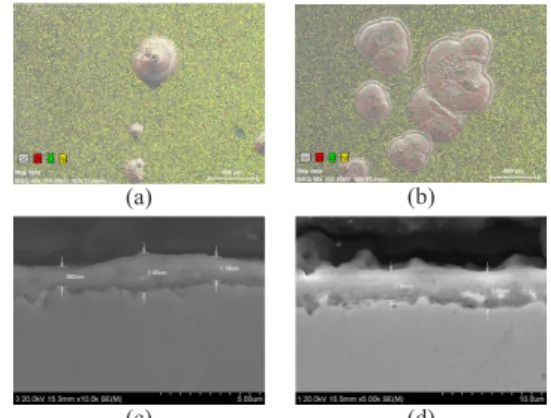 Fig. 4.  Samples of SEM and EDS images (a) Alloy1, (b)  Inconel 625 in 500 ℃ , Zn metl, X50 (c) Alloy1, (d)  Inconel 625 in 700 ℃  Al-Zn melt,X5000  