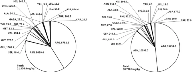 Fig. 2. Composition of amino acids in garlic bulb (left) and callus (right). Three or four character abbreviations are amino acids, and  numeric numbers mean contents, mg per kilogram fresh bulbs or callus