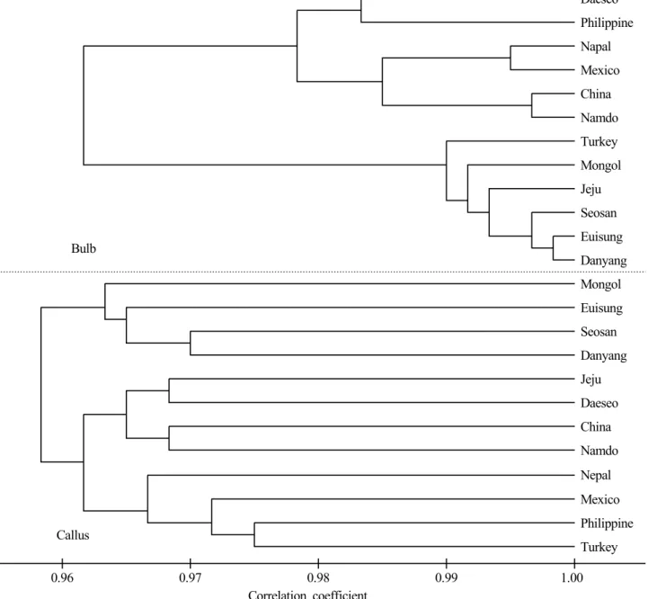 Fig. 4. Dendrogram among garlic cultivars based on composition of amino acid contents in garlic bulb and callus.