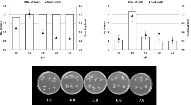Fig. 5. Effect of pH on shoot and adventitious root formation from node of Platycodon grandiflorum (Jacq.) A