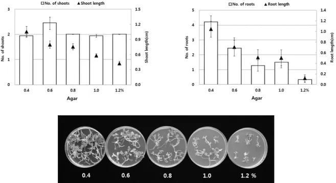 Fig. 6. Effect of agar concentration on shoot and adventitious root formation from node of Platycodon grandiflorum (Jacq.) A