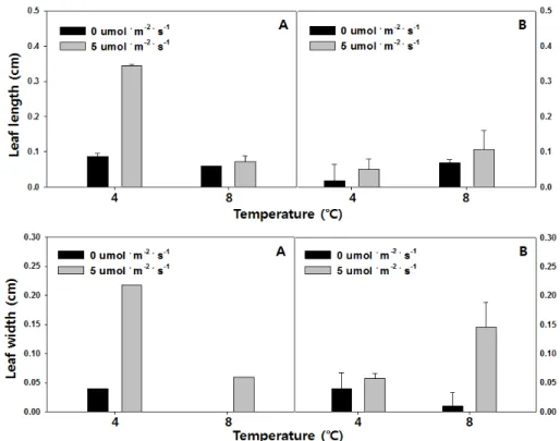 Fig. 2. Changes in leaf length and width after two weeks of cold storage and one week of acclimatization of P