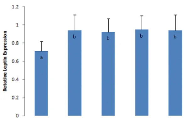 Fig. 3. The gene expression ratio of Apo‐B/β‐actin by RT‐PCR. 