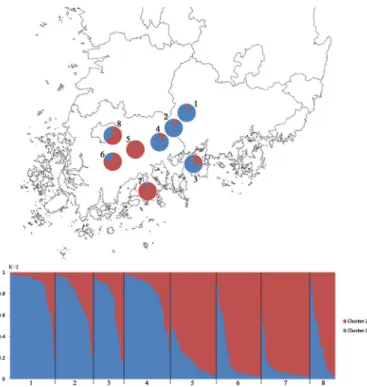 Fig. 3. Classification of individuals from 8 populations of C. hylomeconoides into cluster (K=2) identified using the  STRUCTURE method (Pritchard et al., 2007)