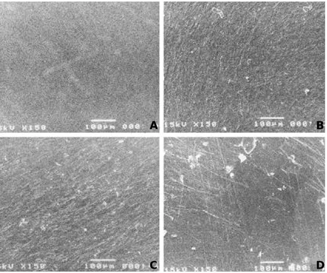 Fig. 3. Findings of scanning electron microscope of tissue culture polystyrene surface ( × 150 ) A: Smooth surface before experiment