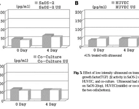 Fig. 5. Effect of low intensity ultrasound on transforming growth factor(TGF) β 2 activity in SaOS-2 cell line, HUVEC, and co-culture